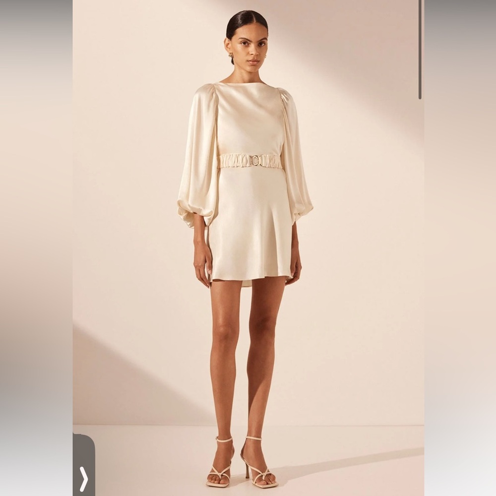 Shona Joy Puff Sleeve Mini Dress- Mint Green